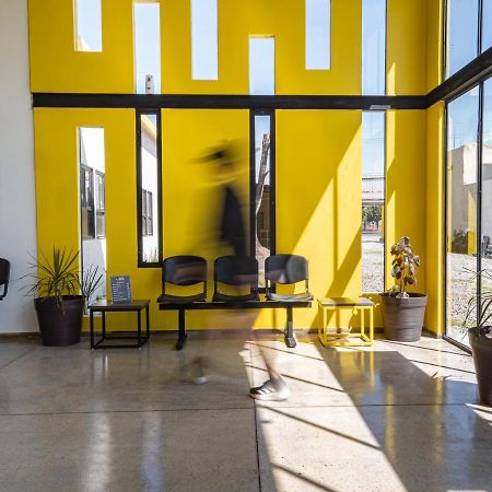 Check Inn Hostal Aeropuerto Gdl Las Pintas ภายนอก รูปภาพ